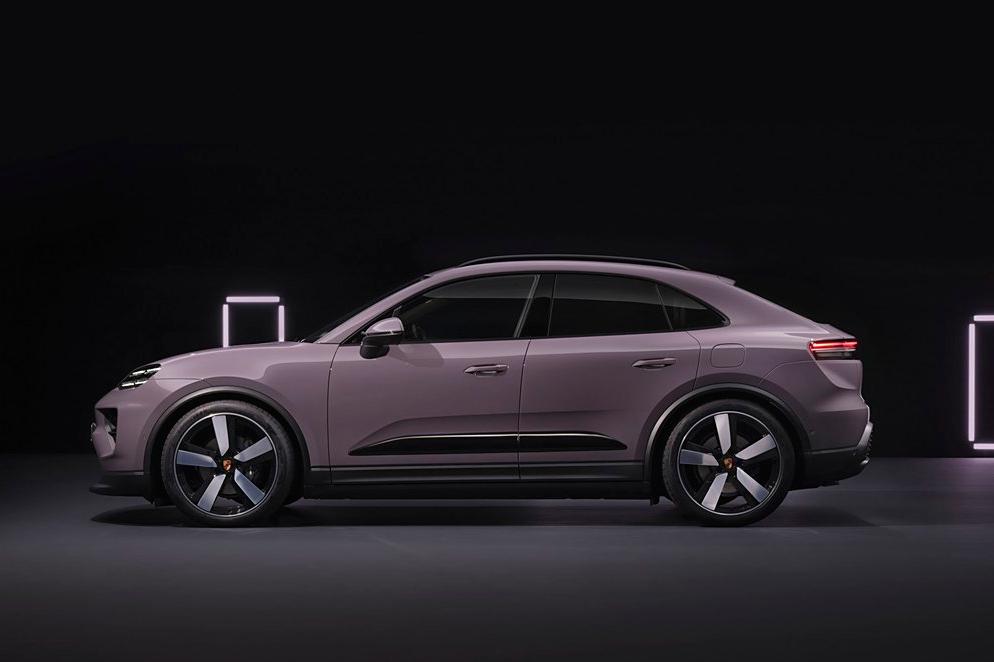 macan-3.jpg